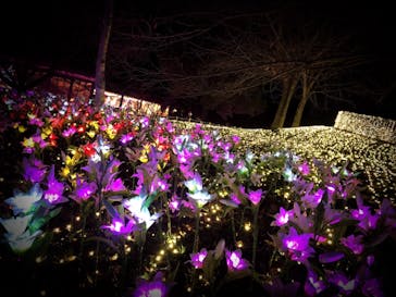 さがみ湖MORI MORIに投稿された画像（2020/12/4）