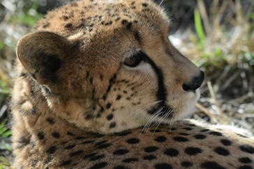 伊豆アニマルキングダムに投稿された画像（2020/12/4）