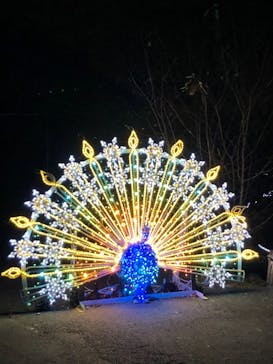 さがみ湖MORI MORIに投稿された画像（2020/12/4）