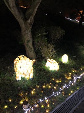 さがみ湖MORI MORIに投稿された画像（2020/12/4）