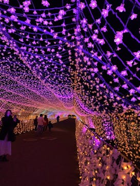 東京メガイルミに投稿された画像（2020/12/4）