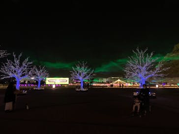 東京メガイルミに投稿された画像（2020/12/4）