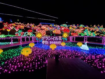 伊豆ぐらんぱる公園に投稿された画像（2020/12/4）