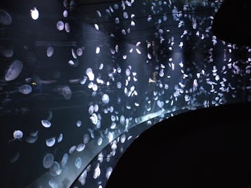 サンシャイン水族館に投稿された画像（2020/12/4）