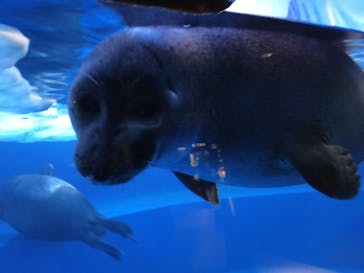 サンシャイン水族館に投稿された画像（2020/12/4）