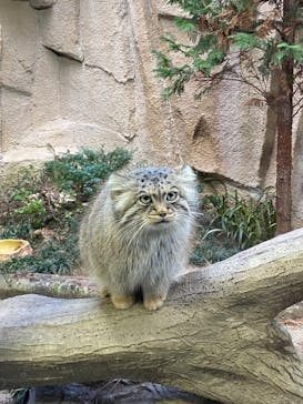 那須どうぶつ王国に投稿された画像（2020/12/4）