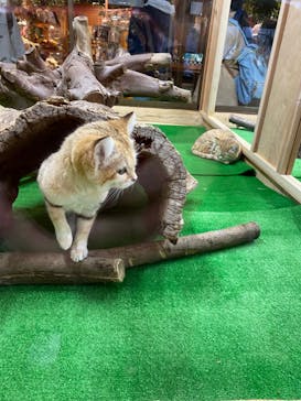 那須どうぶつ王国に投稿された画像（2020/12/4）