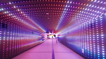 東京メガイルミに投稿された画像（2020/12/5）