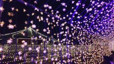 東京メガイルミに投稿された画像（2020/12/5）