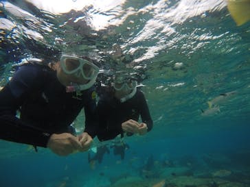 武藤潜水に投稿された画像（2020/12/5）