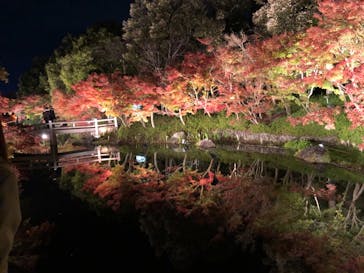 なばなの里に投稿された画像（2020/12/5）