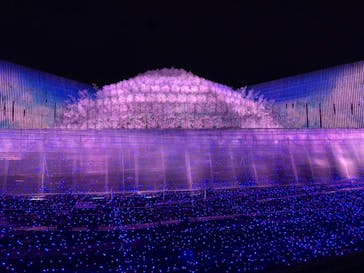 なばなの里に投稿された画像（2020/12/5）