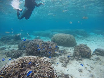 武藤潜水に投稿された画像（2020/12/5）