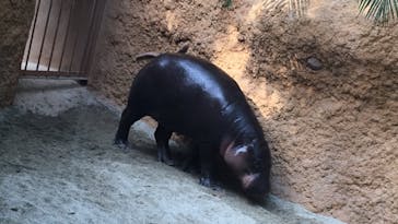 神戸どうぶつ王国に投稿された画像（2020/12/5）