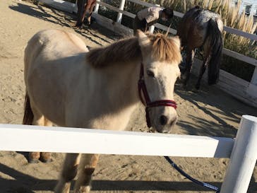 神戸どうぶつ王国に投稿された画像（2020/12/5）