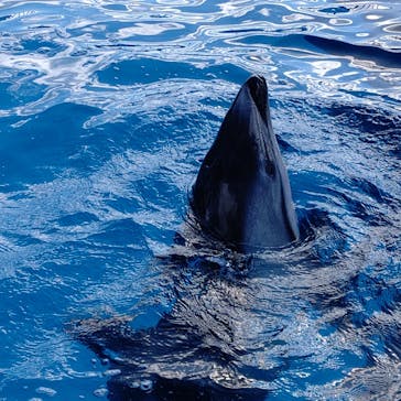 マリンワールド海の中道に投稿された画像（2020/12/5）