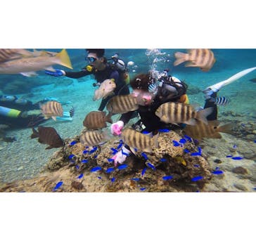 DIVING-SHOP SUNSに投稿された画像（2020/12/5）