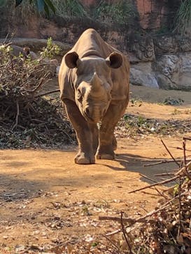 天王寺動物園に投稿された画像（2020/12/5）