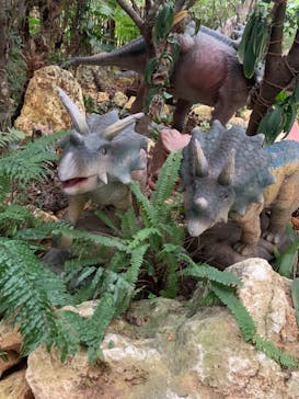 ナゴパイナップルパークに投稿された画像（2020/12/5）