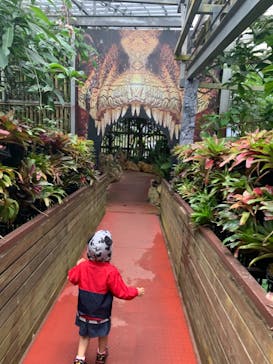 ナゴパイナップルパークに投稿された画像（2020/12/5）