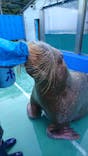 ゼロ距離水族館 伊勢シーパラダイスに投稿された画像（2020/12/5）