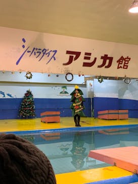 ゼロ距離水族館 伊勢シーパラダイスに投稿された画像（2020/12/5）