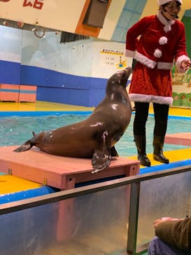 ゼロ距離水族館 伊勢シーパラダイスに投稿された画像（2020/12/5）