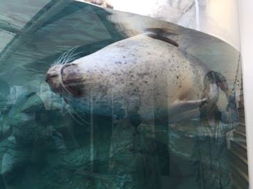 京都水族館に投稿された画像（2020/12/5）
