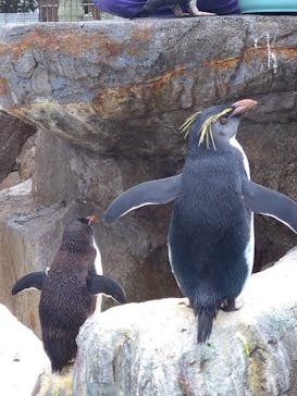京急油壺マリンパークに投稿された画像（2020/12/5）