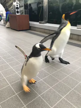 仙台うみの杜水族館に投稿された画像（2020/12/5）