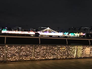 東京メガイルミに投稿された画像（2020/12/5）