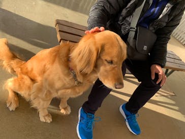 那須どうぶつ王国に投稿された画像（2020/12/5）