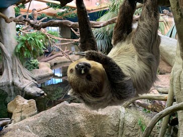 那須どうぶつ王国に投稿された画像（2020/12/5）