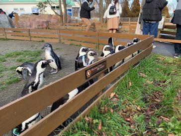 那須どうぶつ王国に投稿された画像（2020/12/5）