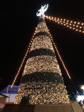 さがみ湖MORI MORIに投稿された画像（2020/12/5）