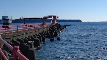 串本海中公園水族館に投稿された画像（2020/12/5）