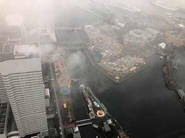 横浜ランドマークタワー 69階展望フロア スカイガーデンに投稿された画像（2020/12/5）