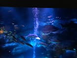 すみだ水族館に投稿された画像（2020/12/5）