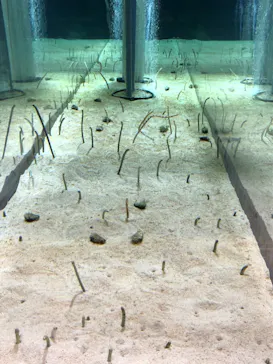 すみだ水族館に投稿された画像（2020/12/5）