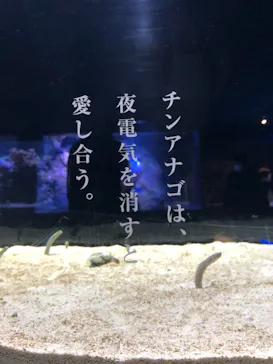 すみだ水族館に投稿された画像（2020/12/5）
