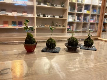 伊勢夫婦岩めおと横丁　めおと岩アクティビティに投稿された画像（2020/12/5）