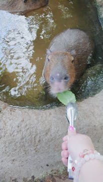 神戸どうぶつ王国に投稿された画像（2020/12/5）