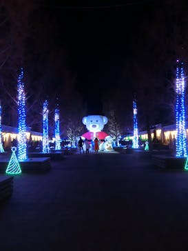 神戸イルミナージュに投稿された画像（2020/12/5）