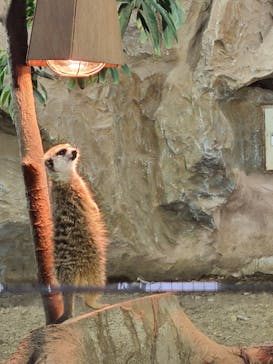 那須どうぶつ王国に投稿された画像（2020/12/5）