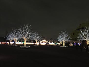 東京メガイルミに投稿された画像（2020/12/5）