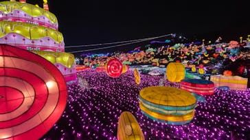 伊豆ぐらんぱる公園に投稿された画像（2020/12/5）