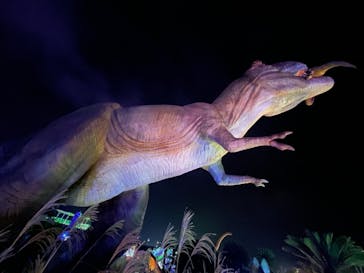 伊豆ぐらんぱる公園に投稿された画像（2020/12/5）