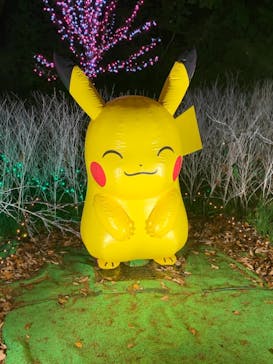 さがみ湖MORI MORIに投稿された画像（2020/12/5）