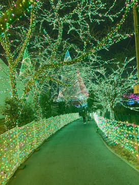 よみうりランド 遊園地に投稿された画像（2020/12/5）