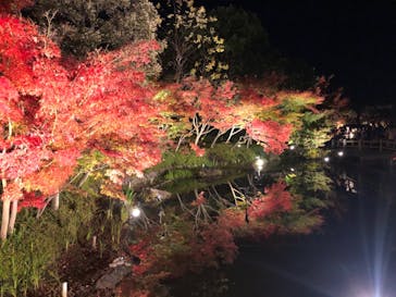 なばなの里に投稿された画像（2020/12/5）